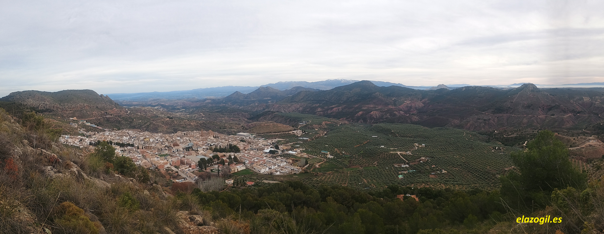 Panorámica de Cabra del Santo Cristo.......www.elazogil.es